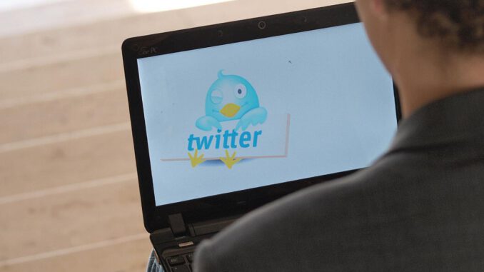 Twitter-Nutzer an einem Computer, über dts Nachrichtenagentur