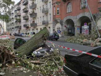 Schäden nach Sturmtief, über dts Nachrichtenagentur