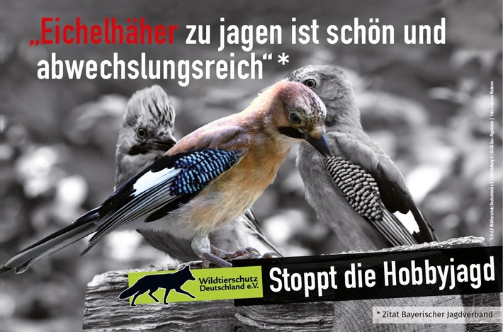 Anzeigenkampagne beleuchtet Tierquälerei durch zuständiges Staatsministerium in Bayern