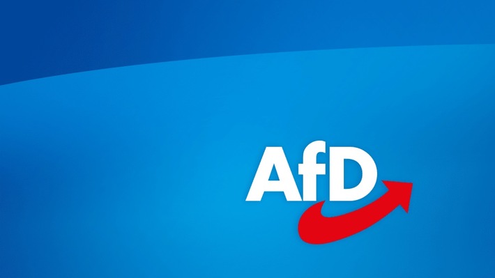 AfD erfolgreich bei Wahlwiederholung - schaler Beigeschmack bleibt